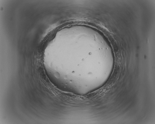 X0000067341255200604131717