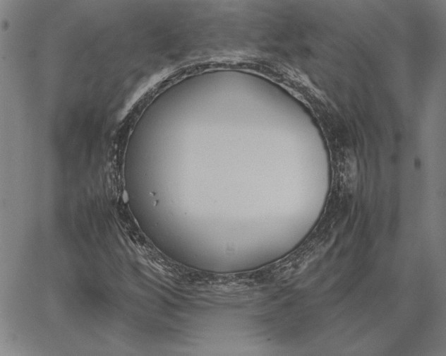 X0000067341256200604131717