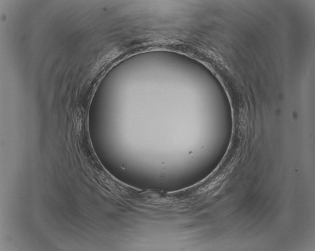 X0000067341257200604131717