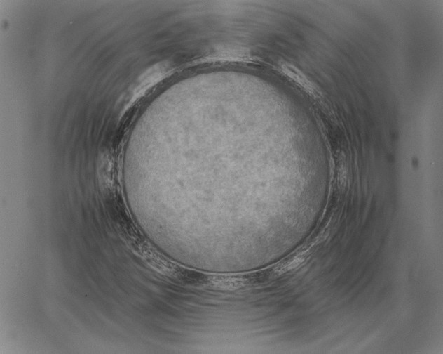 X0000067341258200604131717