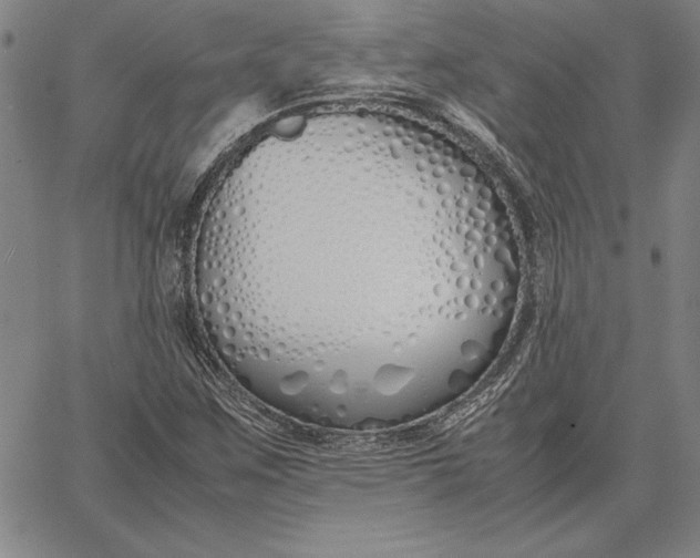 X0000067341259200604131717