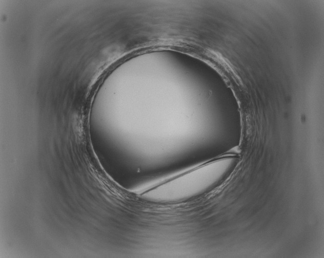 X0000067341260200604131717