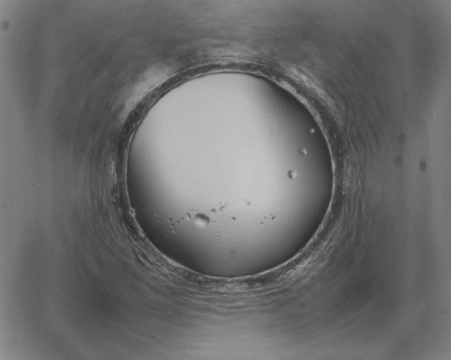 X0000067341261200604131717