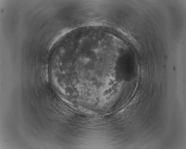 X0000067341262200604131717