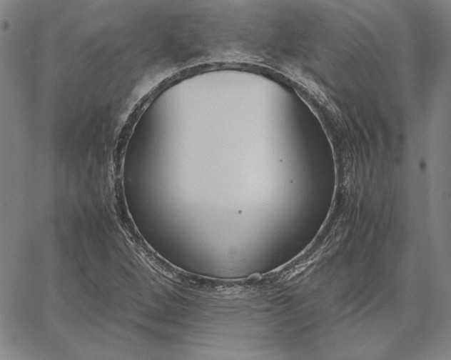 X0000067341264200604131717