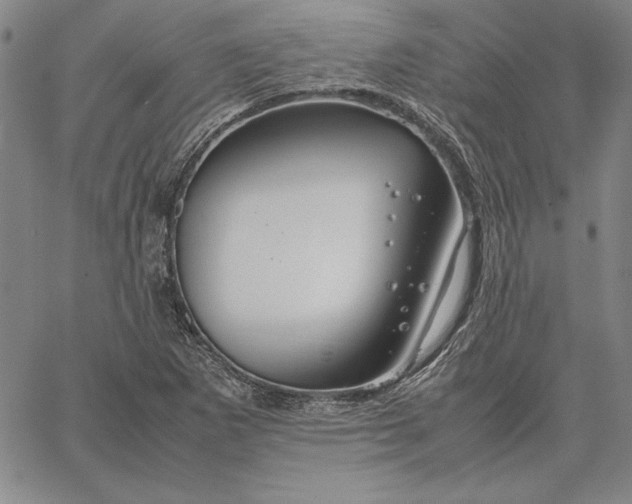 X0000067341265200604131717