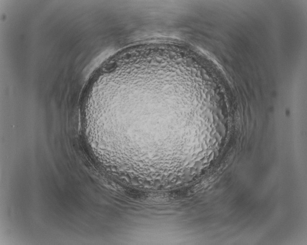 X0000067341267200604131717