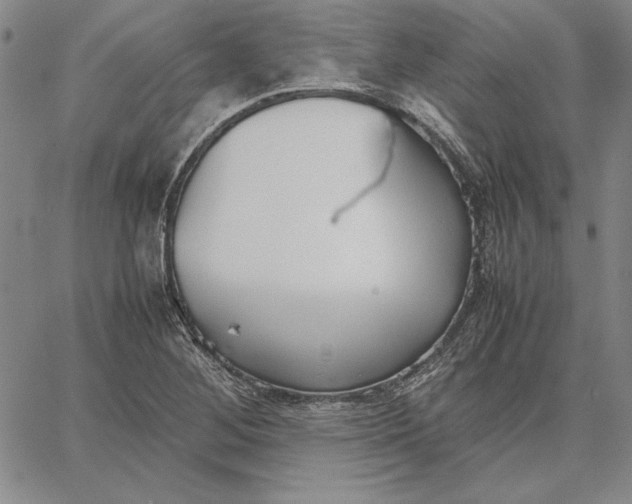 X0000067341268200604131717