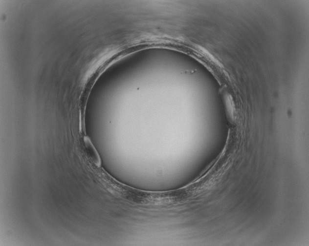 X0000067341269200604131717