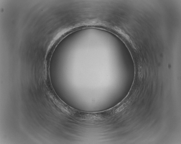 X0000067341270200604131717