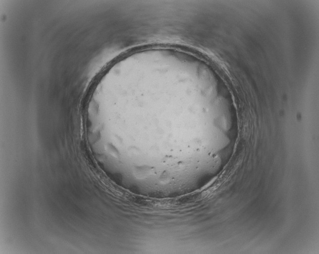 X0000067341271200604131717