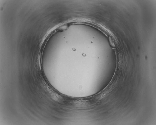 X0000067341272200604131717