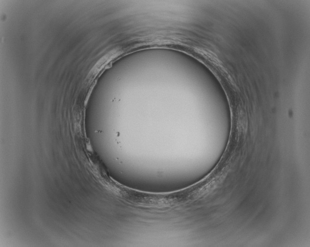 X0000067341273200604131717