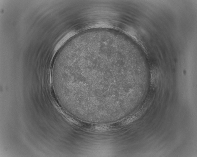 X0000067341274200604131716