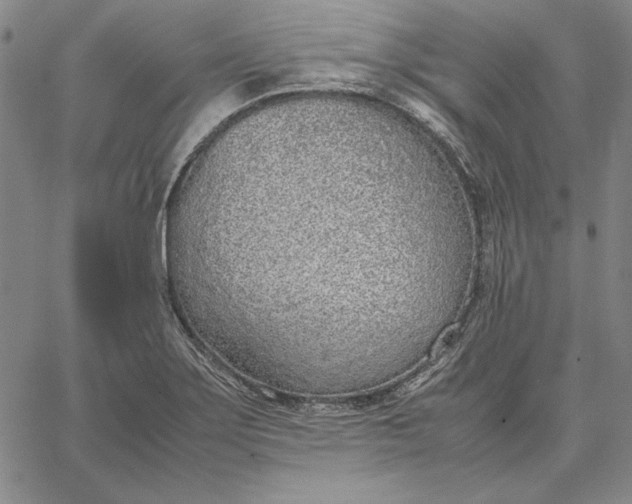 X0000067341275200604131716