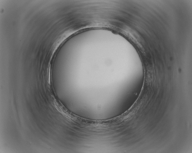 X0000067341276200604131716