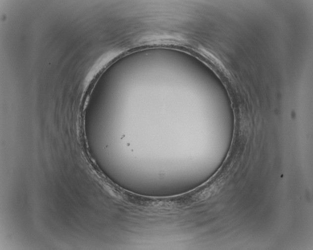 X0000067341277200604131716