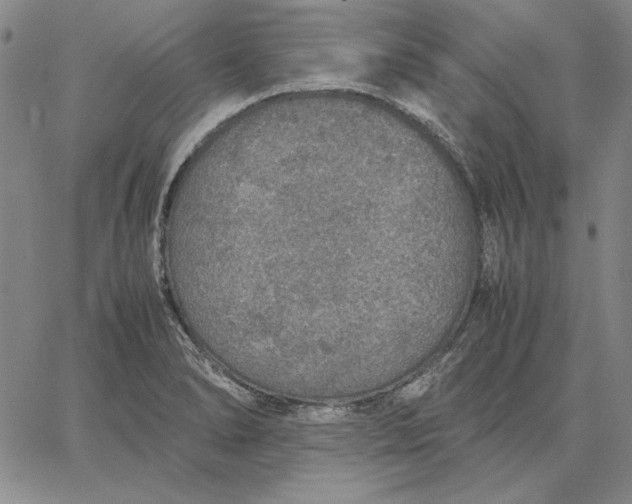 X0000067341278200604131716