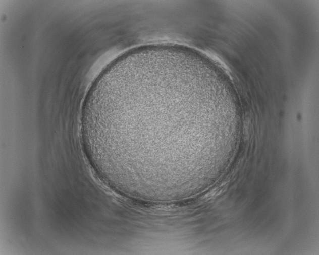 X0000067341279200604131716