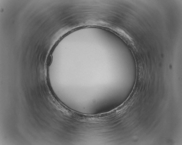 X0000067341280200604131716