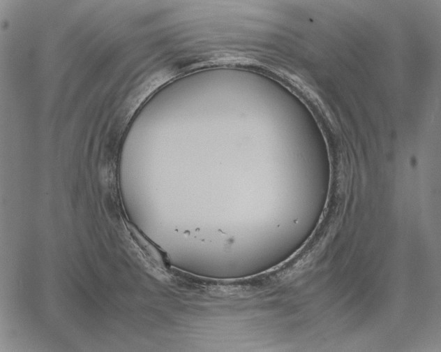 X0000067341281200604131716