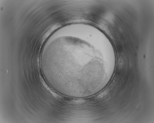 X0000067341282200604131716