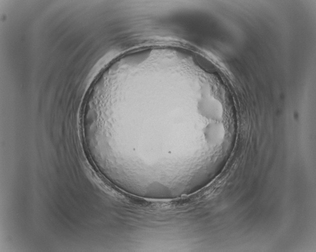 X0000067341283200604131716