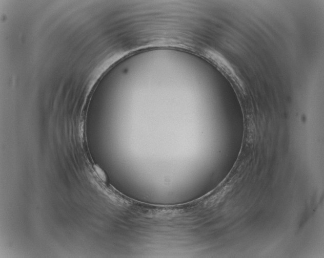 X0000067341284200604131716