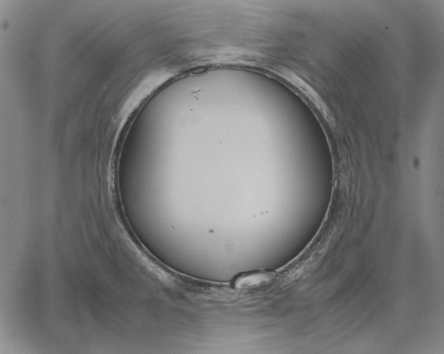 X0000067341285200604131716