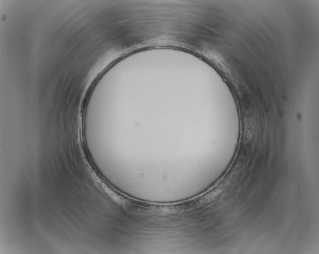 X0000067341286200604131716