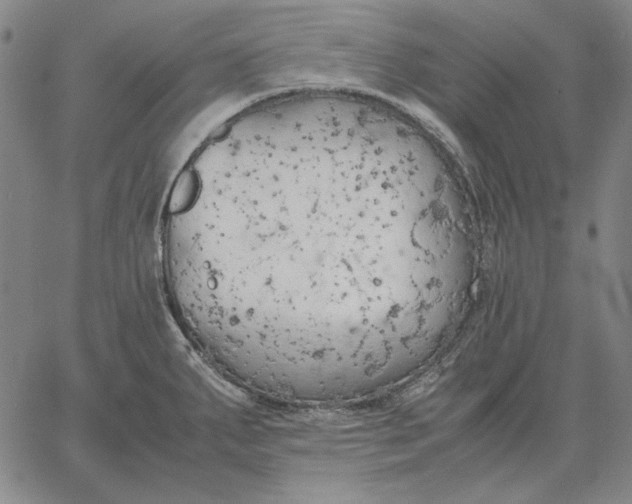 X0000067341287200604131716