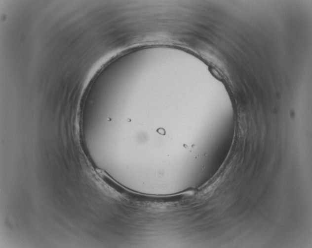 X0000067341288200604131716