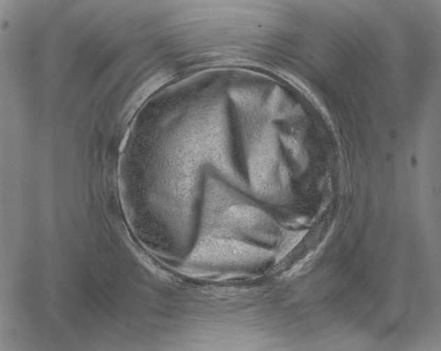 X0000067341289200604131716