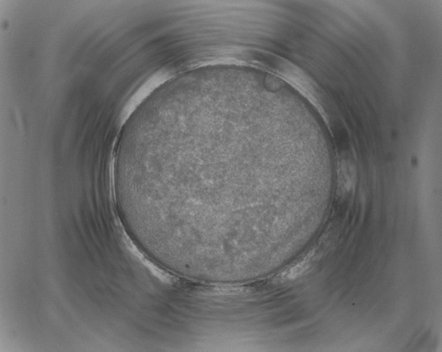 X0000067341290200604131716