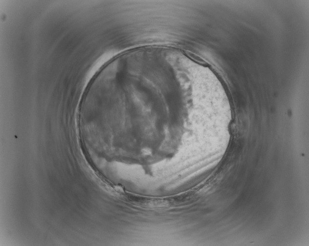 X0000067341291200604131716