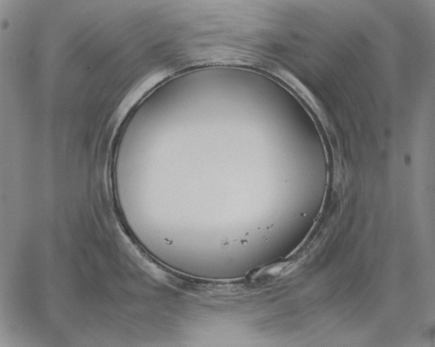 X0000067341293200604131716