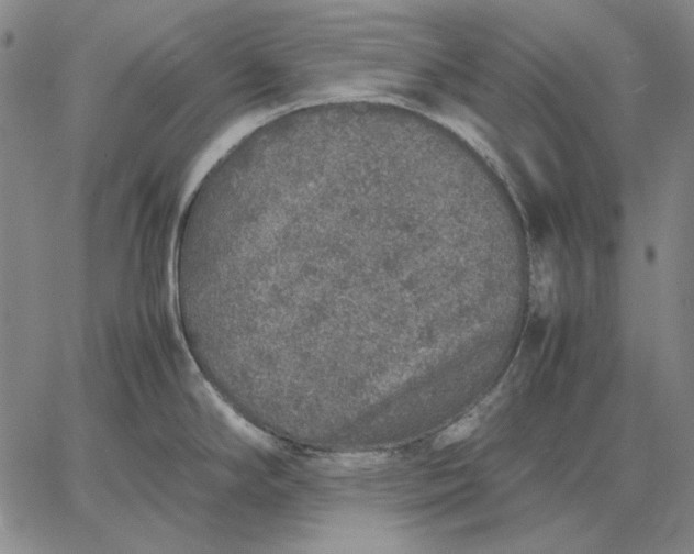 X0000067341294200604131716