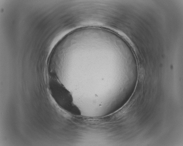 X0000067341295200604131716