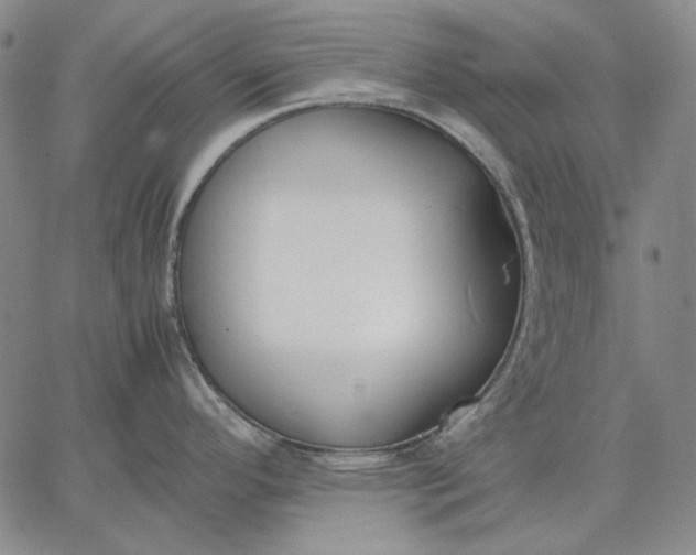 X0000067341296200604131716