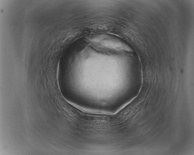 X0000067341297200604131715