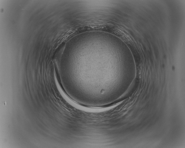 X0000067341298200604131715