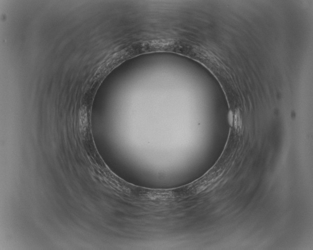 X0000067341299200604131715