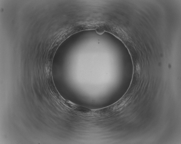 X0000067341300200604131715