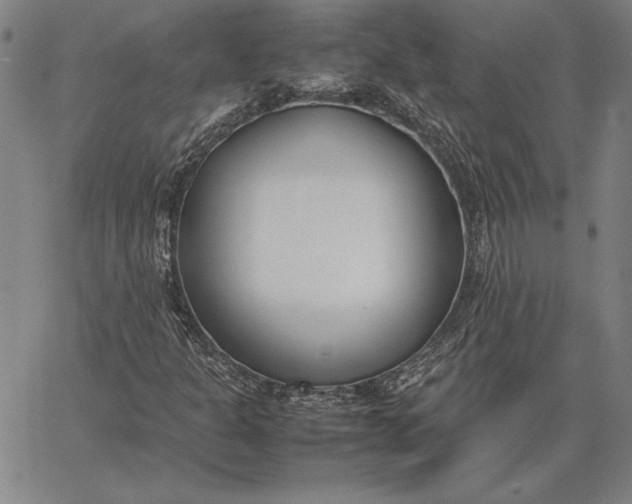 X0000067341301200604131715