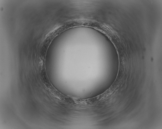 X0000067341302200604131715