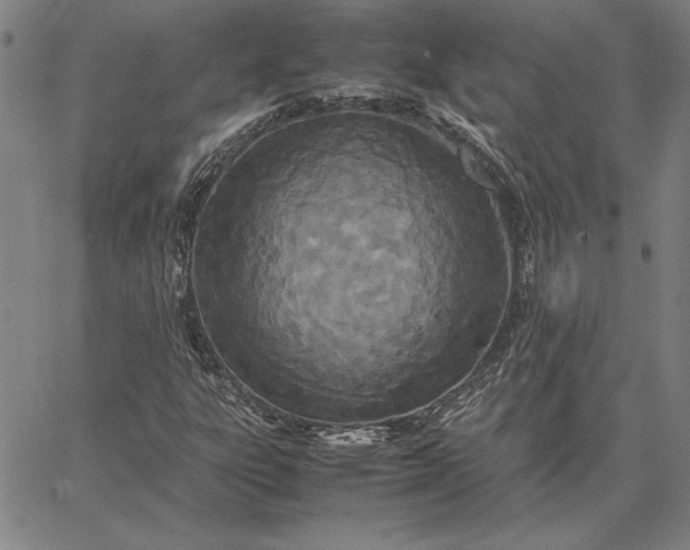 X0000067341303200604131715