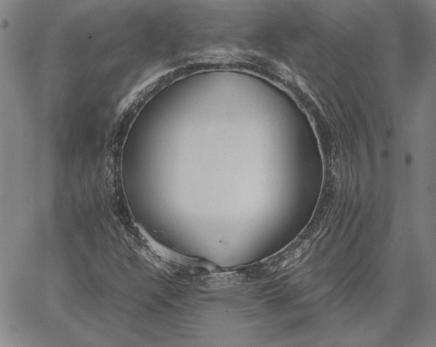 X0000067341304200604131715