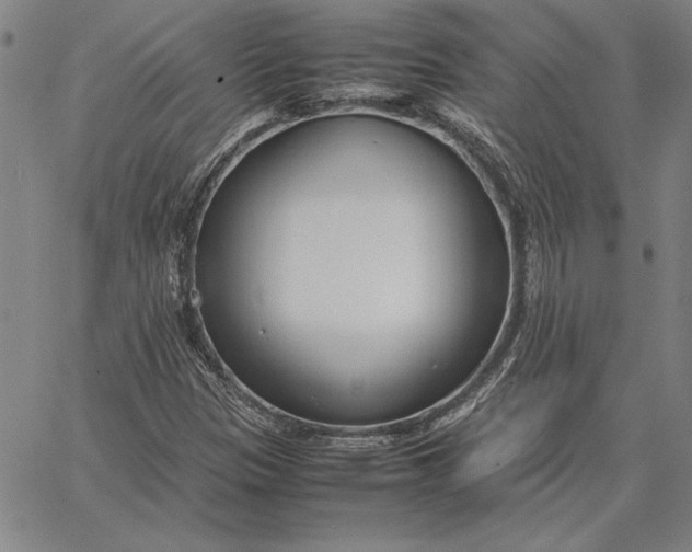 X0000067341305200604131715