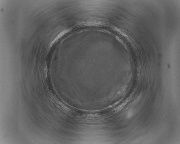 X0000067341306200604131716