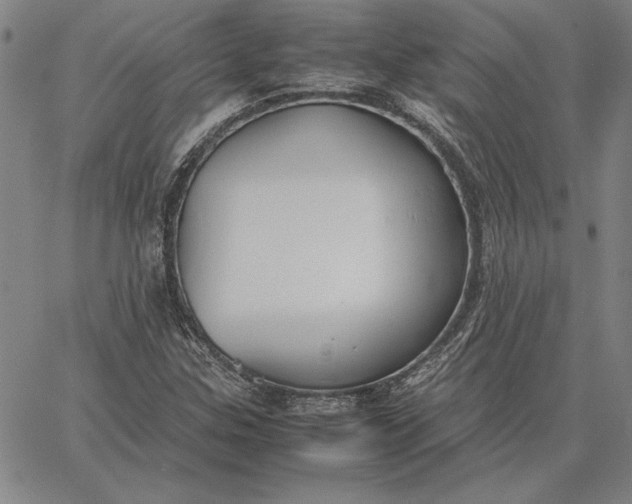 X0000067341307200604131716